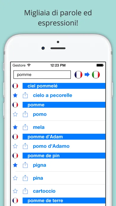 Скриншоты Offline French Italian Dictionary