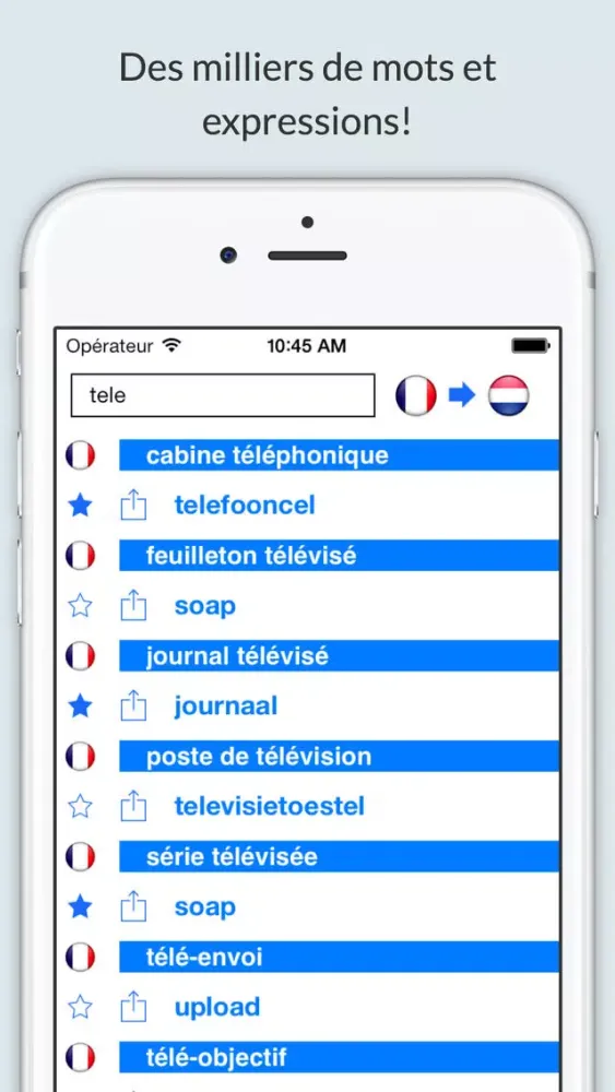 Offline French Dutch Dictionary with Voice應用截圖