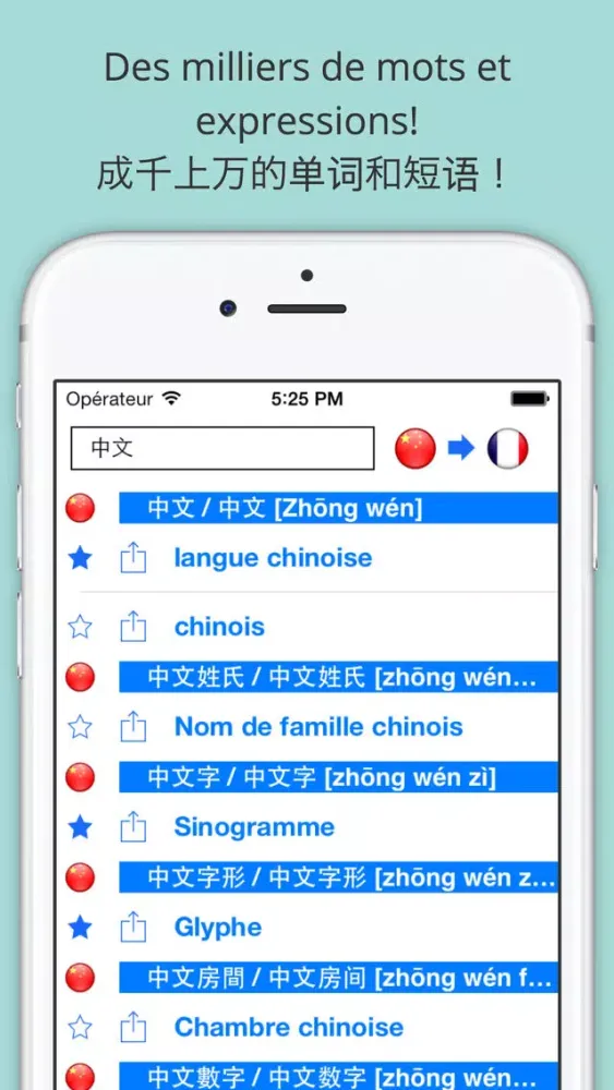 Скриншоты Offline French Chinese Dictionary with Voice