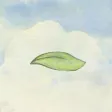 Miss Wind
