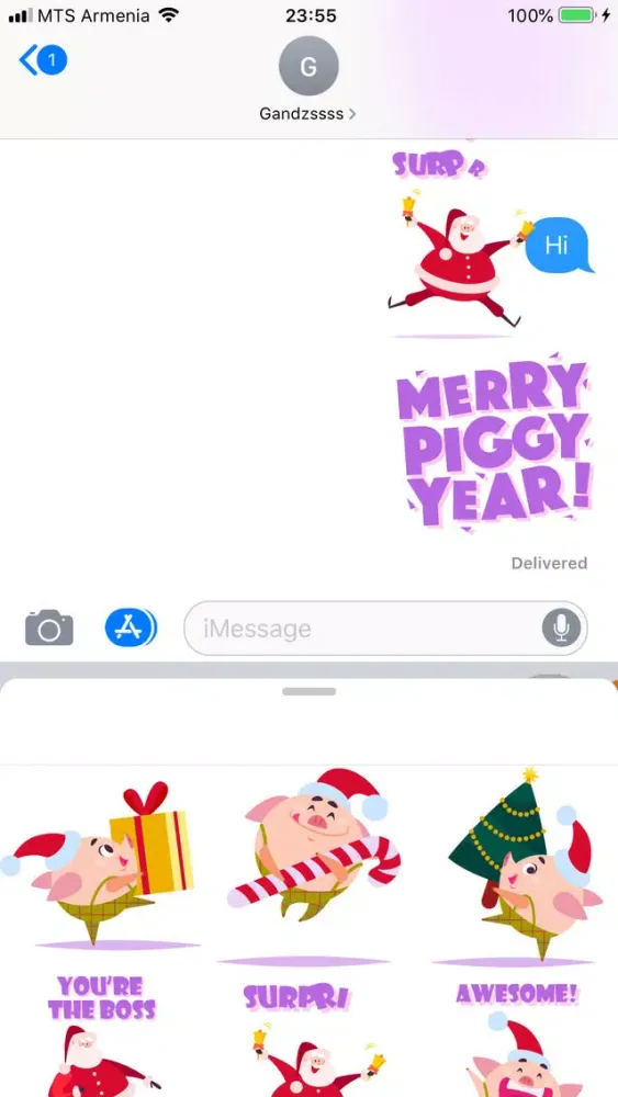 Christmas 2019 Piggy New Year स्क्रीनशॉट