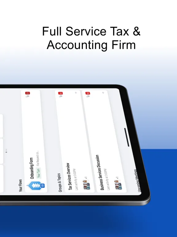 Dynamic Tax & Accounting iPad  स्क्रीनशॉट