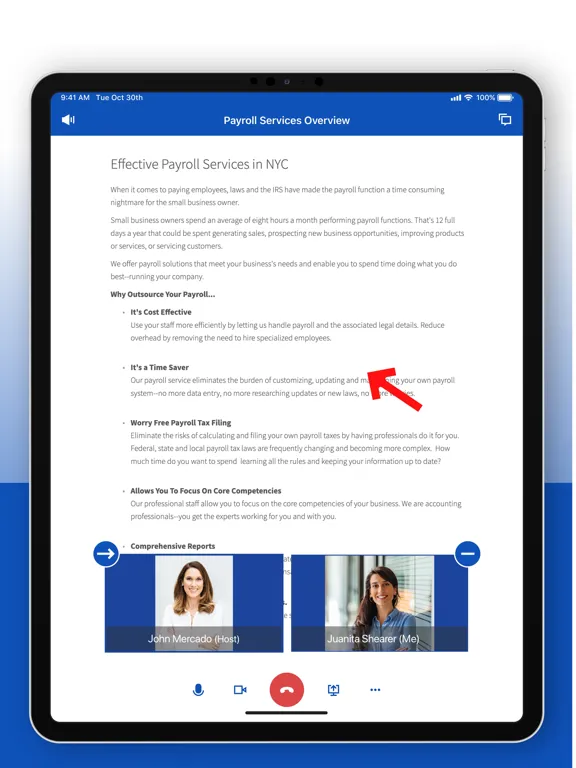 Dynamic Tax & Accounting iPad  स्क्रीनशॉट