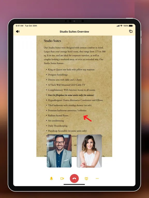 Chelsea Sun Planning Portal iPad  Screenshots