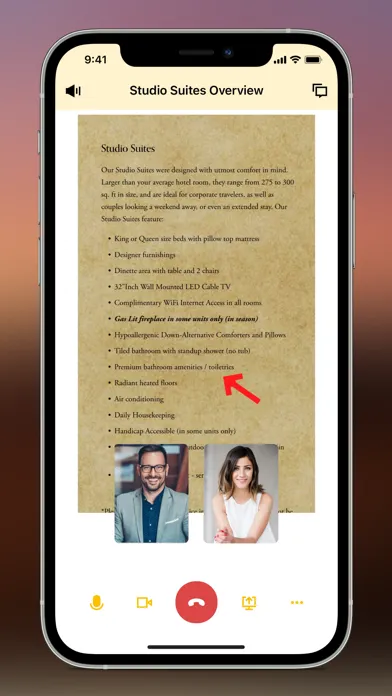Chelsea Sun Planning Portal Screenshots