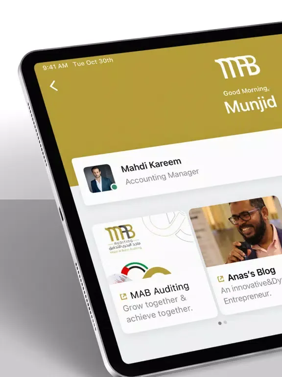MAB Accounting & Auditing LLC iPad 应用截图