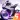 Speed Moto