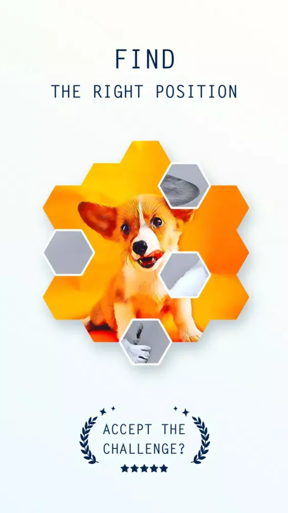 Polycolor - Relaxing Puzzle #1 Ekran Görüntüleri