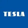 TESLA Ring TESLA Ring