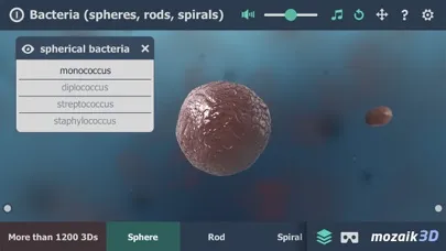 Bacteria 3D Ekran Görüntüleri