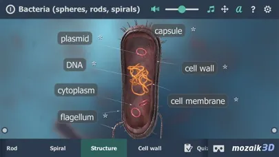 Bacteria 3D Ekran Görüntüleri