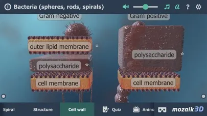 Bacteria 3D Ekran Görüntüleri