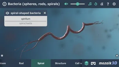 Bacteria 3D Ekran Görüntüleri