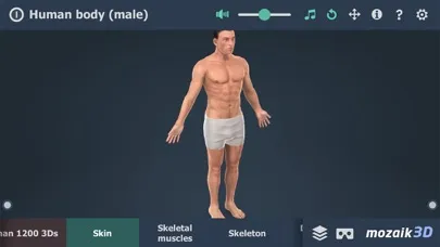 Скриншоты Human body (male) 3D