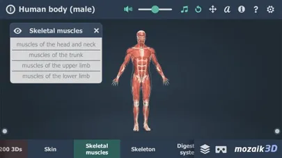 Скриншоты Human body (male) 3D