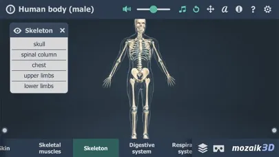 Скриншоты Human body (male) 3D