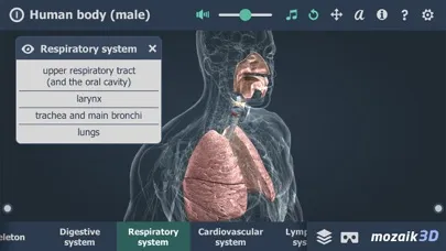 Скриншоты Human body (male) 3D