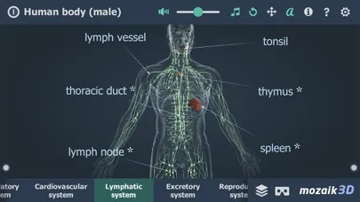 Скриншоты Human body (male) 3D