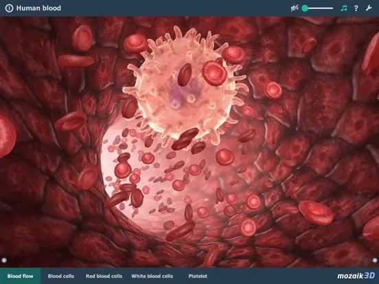 mozaik3D - 3D Animations iPad  Screenshots