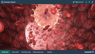 mozaik3D - 3D Animations Screenshots