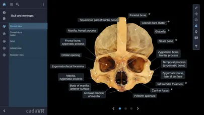 تصاویر cadaVR anatomy