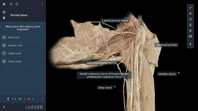 تصاویر cadaVR anatomy
