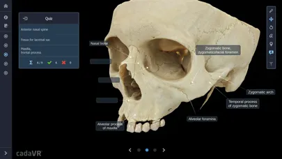 تصاویر cadaVR anatomy