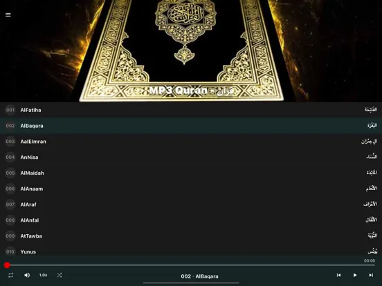 MP3 Quran, Quran kareem, قرآن iPad  스크린샷