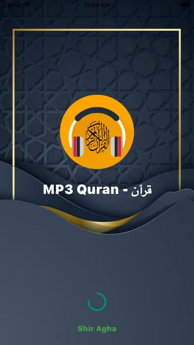 MP3 Quran, Quran kareem, قرآن 스크린샷
