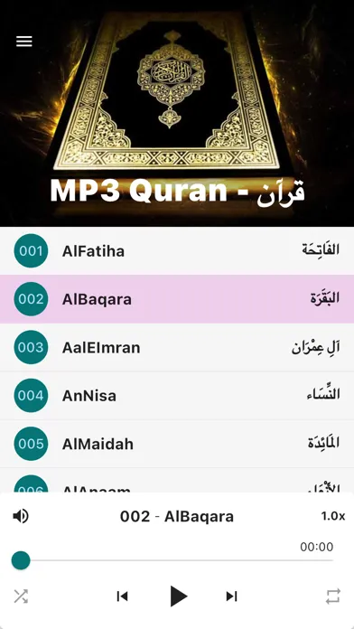 MP3 Quran, Quran kareem, قرآن 스크린샷
