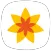 mymutti
