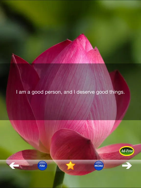 Daily Affirmations! Self Confidence Improvement and Unique Positive Thinking Companion FREE! iPad 应用截图