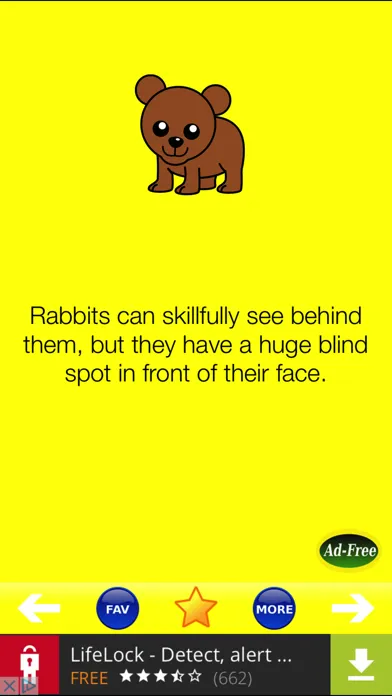 Скриншоты Animal Fun Facts