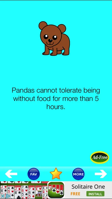 Скриншоты Animal Fun Facts