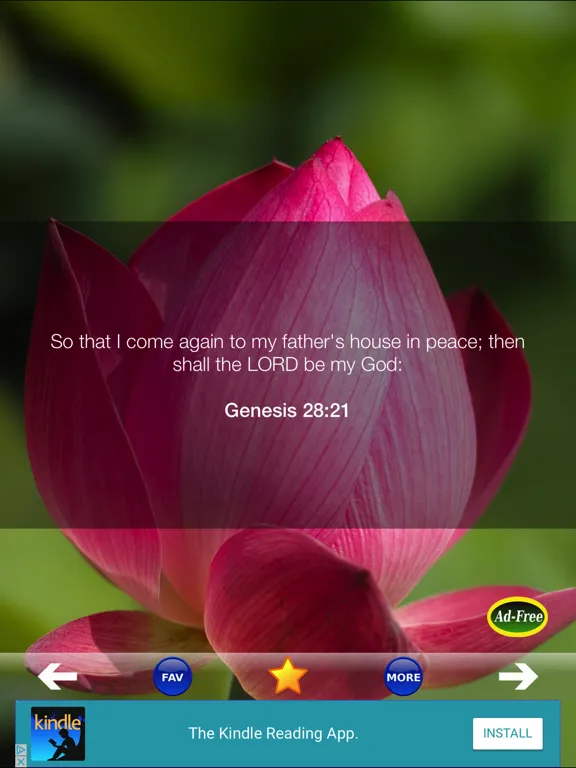 Daily Holy Bible Verses For an Inspirational World iPad  سکرین شاٹس