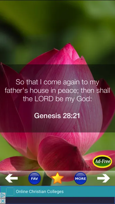 Daily Holy Bible Verses For an Inspirational World سکرین شاٹس