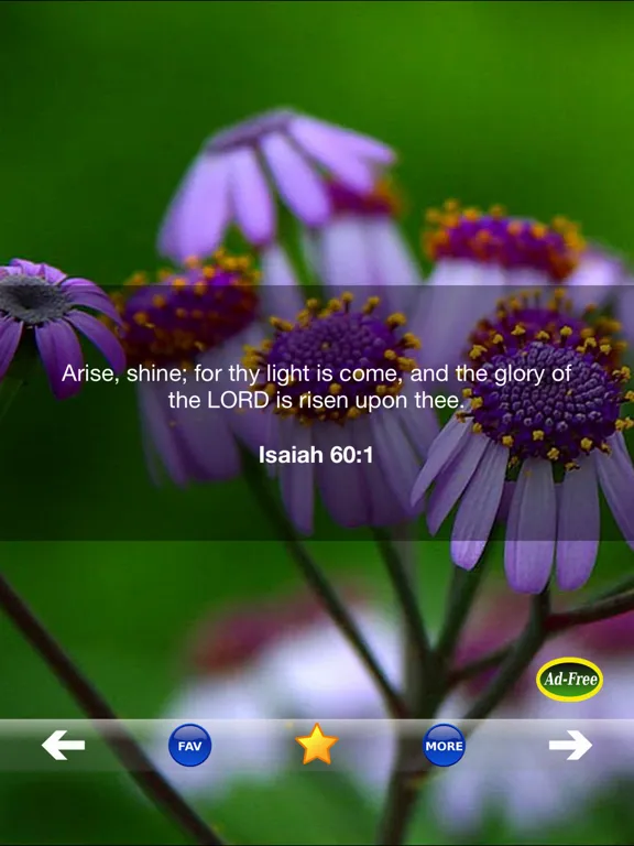 Inspirational Bible Verse of the Day FREE! Daily Bible Inspirations, Scripture & Christian Devotionals! iPad  स्क्रीनशॉट