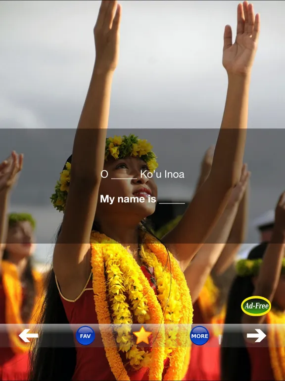 Hawaiian Words & Phrases! Hawaii Dictionary and Casual Language Translation Guide iPad  Screenshots