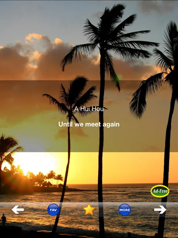 Hawaiian Words & Phrases! Hawaii Dictionary and Casual Language Translation Guide iPad  Screenshots