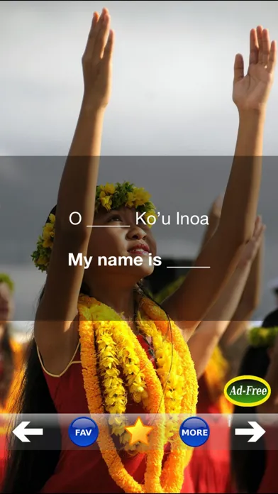 Hawaiian Words & Phrases! Hawaii Dictionary and Casual Language Translation Guide Screenshots