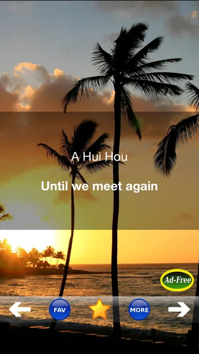 Hawaiian Words & Phrases! Hawaii Dictionary and Casual Language Translation Guide Screenshots