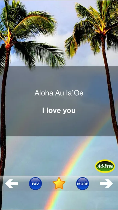 Hawaiian Words & Phrases! Hawaii Dictionary and Casual Language Translation Guide Screenshots