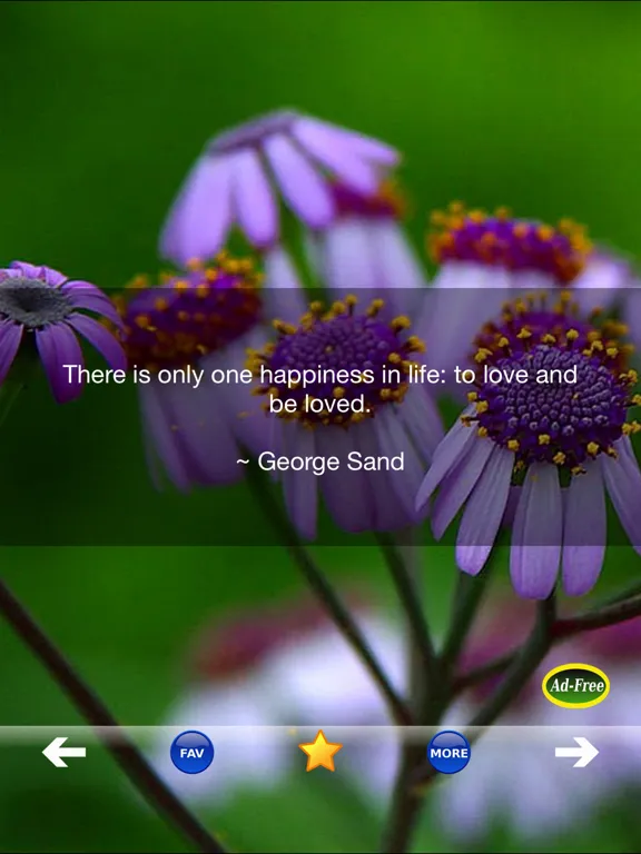 Zrzuty ekranu Love Quotes and Sayings! iPad 