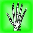 Diagnosis & Therapy: The Pro Symptom Checker & Tracker for Physical, Occupational, Speech ddx & Blood Test Guide FREE! Diagnosis & Therapy: The Pro Symptom Checker & Tracker for Physical, Occupational, Speech ddx & Blood Test Guide FREE!