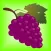 Best Diet Foods Healthy Living
