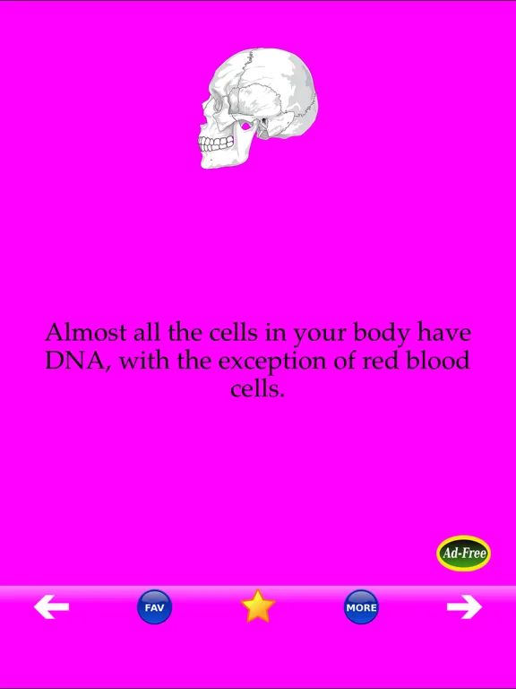 Screenshot di Human Body Facts 1000 Fun Quiz iPad 