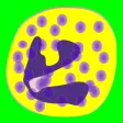 Immune Disorders: The Immune System and Facts on Immunology & Allergy Immune Disorders: The Immune System and Facts on Immunology & Allergy