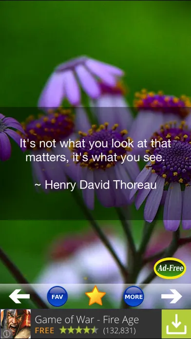 Captures d'écran de Inspirational Quotes & Sayings