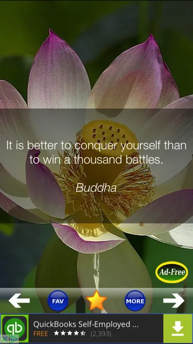 Ảnh chụp màn hình của Daily Inspirational Wisdom Quotes and Sayings