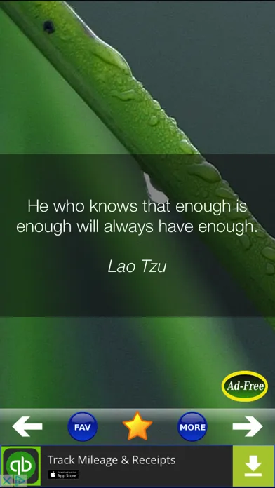 Ảnh chụp màn hình của Daily Inspirational Wisdom Quotes and Sayings
